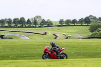 Middle Group Red Bikes